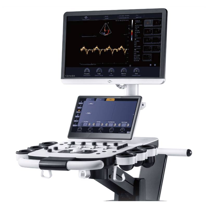 Danus 30 ультразвукова діагностична система стаціонарна високого класу +2 датчика Focus&Fusion, рис. 1