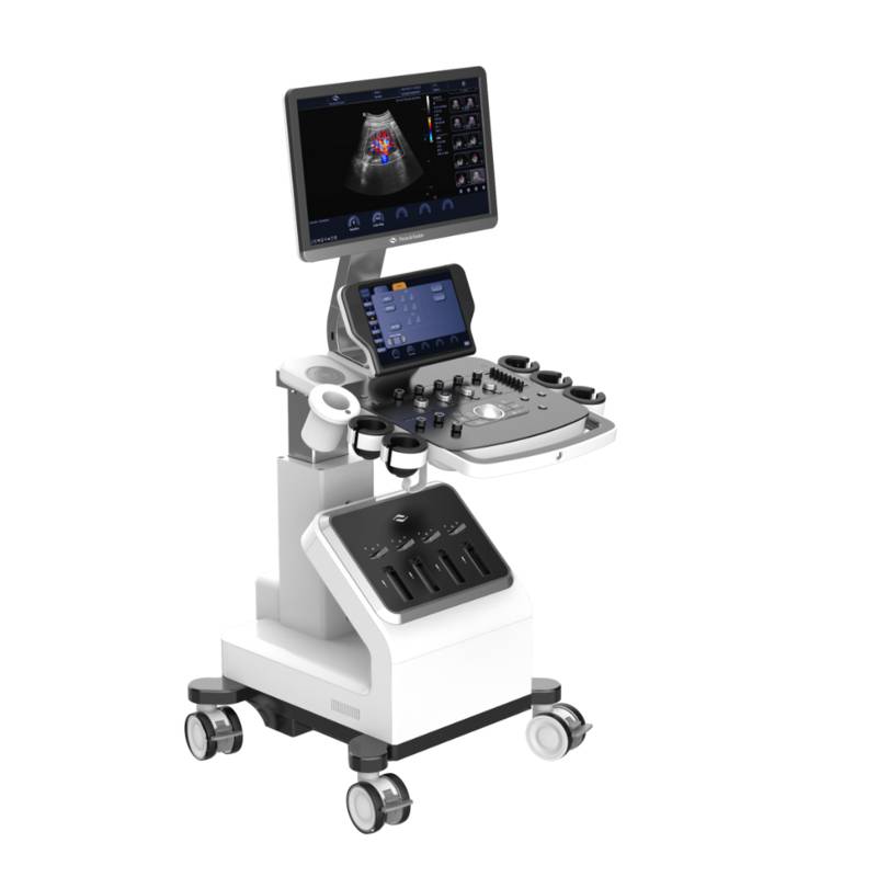 Danus 10 стаціонарна ультразвукова діагностична система високого класу +2 датчики Focus&Fusion, рис. 1